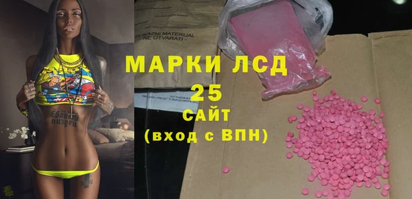 spice Ельня