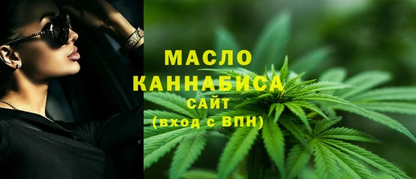 spice Ельня