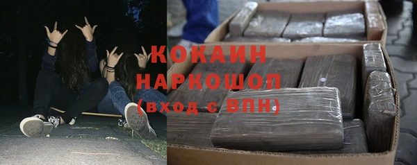 spice Ельня