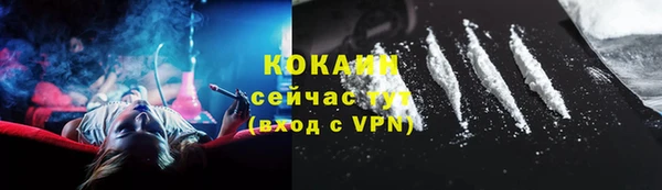 ECSTASY Елизово