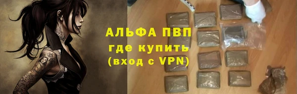 spice Ельня