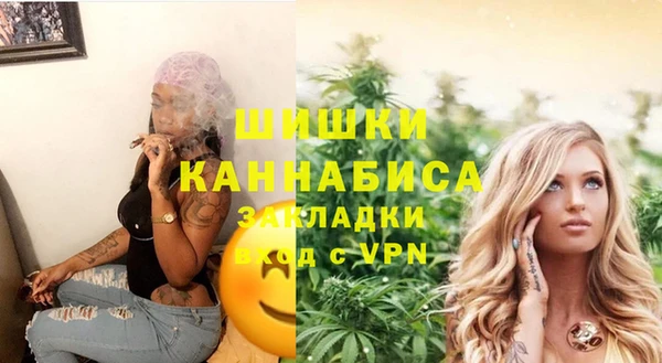 spice Ельня