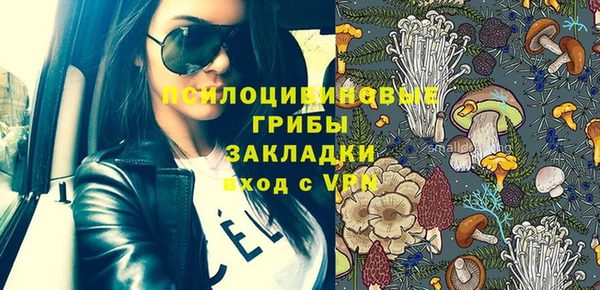 ECSTASY Елизово