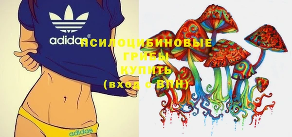 spice Ельня
