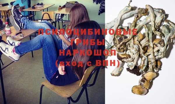 ECSTASY Елизово