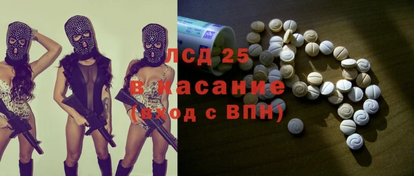 spice Ельня