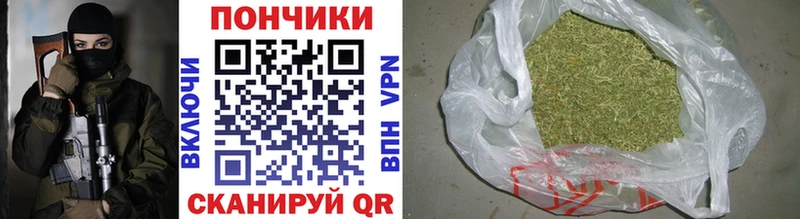 Купить где Кириллов Шишки марихуана планчик